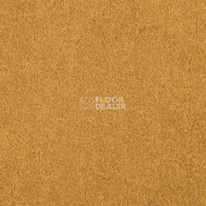 Ковровая плитка Modulyss Cambridge Xtra 21 f фото 1 | FLOORDEALER